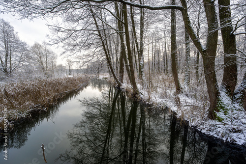 Zima nad rzeką Supraśl, Puszcza Knyszyńska, Podlasie