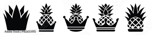 set of  pineapple crown icon vector illustration isolated on white background