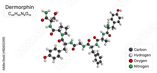 Dermorphin molecule. Natural opioid neuropeptide with strong analgesic activity.  Molecular model. 3D rendering. Illustration