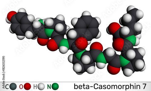 Beta-casomorphin-7, BCM7 opioid peptide molecule. Milk-derived casein peptide with potential physiological effects. Molecular model. 3D rendering. Illustration