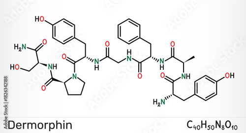Dermorphin molecule. Natural opioid neuropeptide with strong analgesic activity.  Skeletal chemical formula. Vector illustration