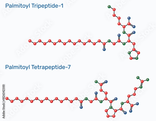 Polyacyl anti-aging cosmetic peptides palmitoyl tripeptide-1 and palmitoyl tetrapeptide-7 molecule. Molecular model. Vector Illustration