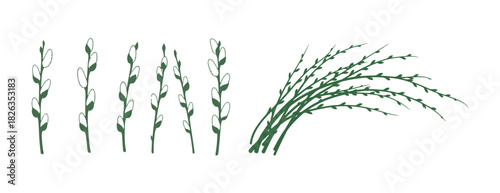 A set of willow branches. Colorful vector art in a flat style. Spring is here. Hand-drawn.

