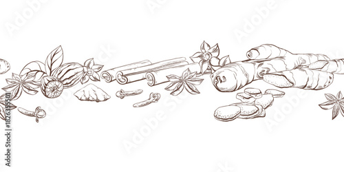 Seamless border of spices for mulled wine, tea, coffee additives for aromatherapy and health. Hand drawn graphic illustration i vector outline for packing tape in coffee shop or spice shop