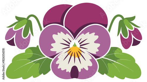Stylized illustration of a purple and white pansy flower with buds