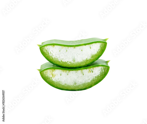 Wallpaper Mural aloe vera fresh leaf transparent png Torontodigital.ca