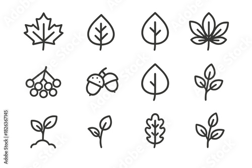 Simple line art collection of various deciduous tree leaves, acorns, berries, and young plant sprouts
