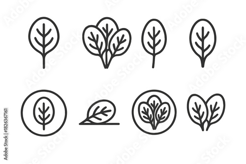Minimalist outline icons collection featuring spinach leaves and various leafy green vegetables
