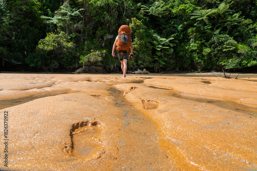 Barefoot hiker leaving footprints on wet sand, Abel Tasman, NZ