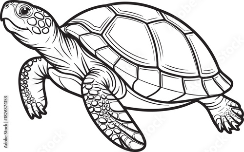 Cute sea turtle vector illustration pattern design