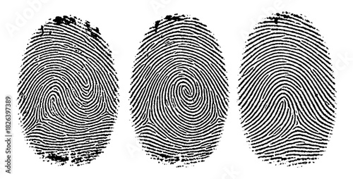 A trio of vector detailed biometric ink prints displays the unique loops and whorls essential for forensic identification.