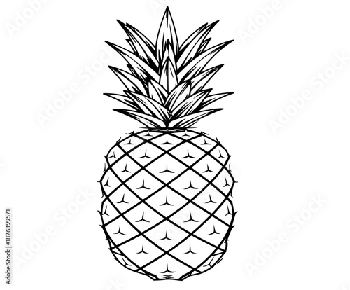 Tropical Mystique: Pineapple's Silhouette | Clean, isolated vector art for creative projects.