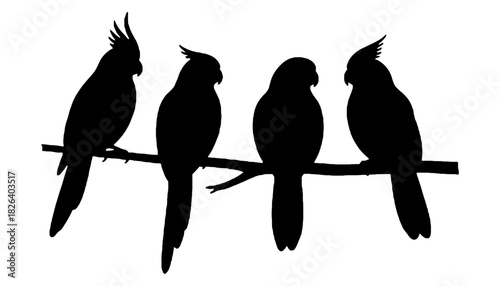 Four cockatiel birds silhouettes perched on branch vector art