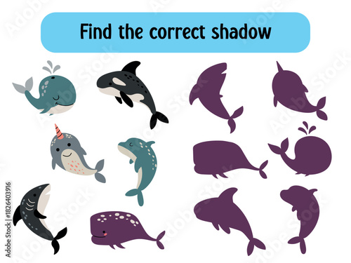 Find the Correct Shadow Marine Animal Illustration