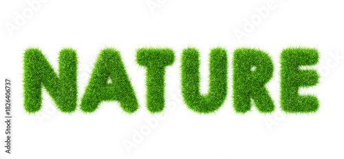 Green Nature: An eye-level shot captures a vibrant display of the word NATURE crafted from lush green grass, creating a harmonious blend of text and the outdoors. 