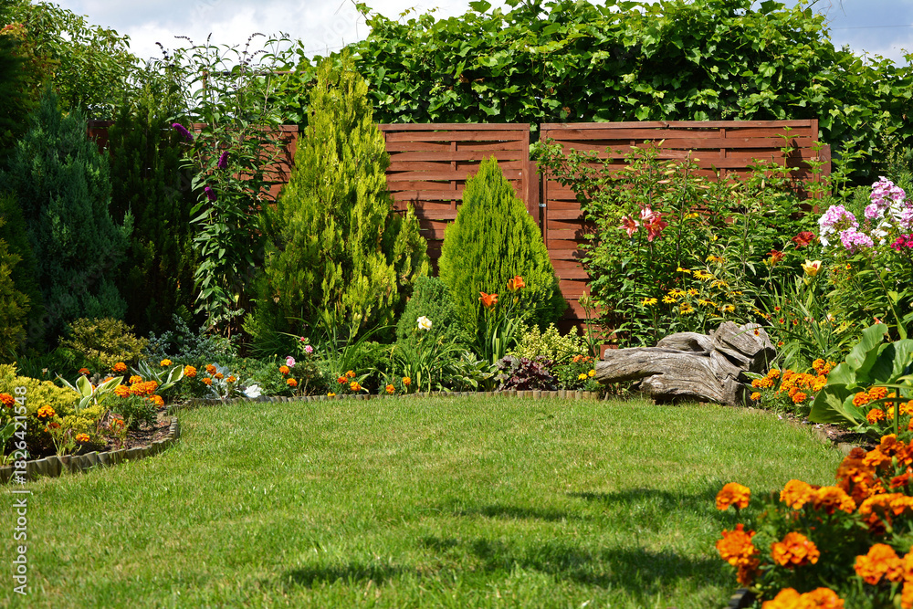 Fototapeta premium zielony trawnik w ogrodzie otoczony krzewami ozodbnymi i kolorowymi kwiatami, beautiful garden with shrubs, lily, marigold and conifers, designer garden 