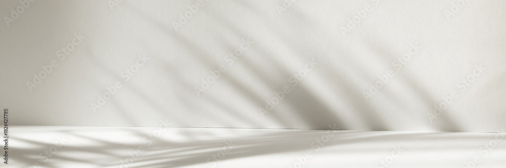 Fototapeta premium Abstract white color studio background for product presentation. Empty room with shadows of window and palm leaves . 3d grey room with copy space. Banner. Blurred backdrop.