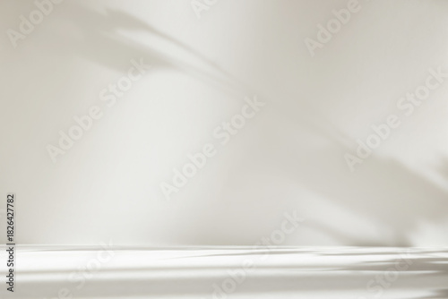 Abstract white color studio background for product presentation. Empty room with shadows of window and flowers and plant leaves . 3d grey room with copy space. Summer concept. Blurred backdrop.