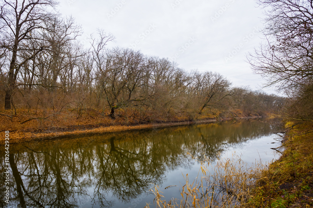 Fototapeta premium calm river with forest on coast, autumn outdoor landscape