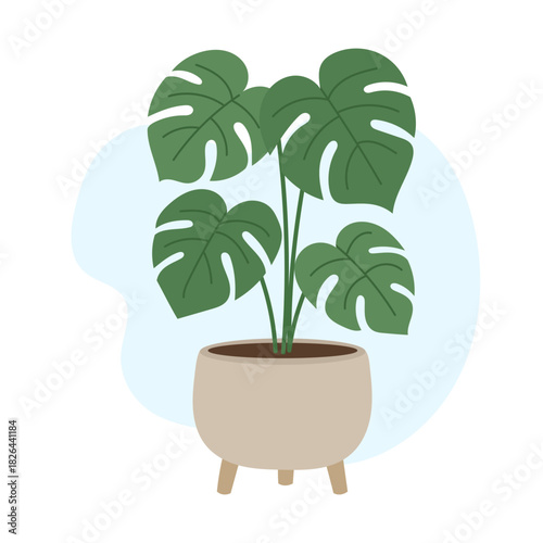 Modern indoor scene presents lush monstera leaves creating bold tropical accent, monstera adding trendy botanical vibe, calming greenery mood, stylish organic energy .