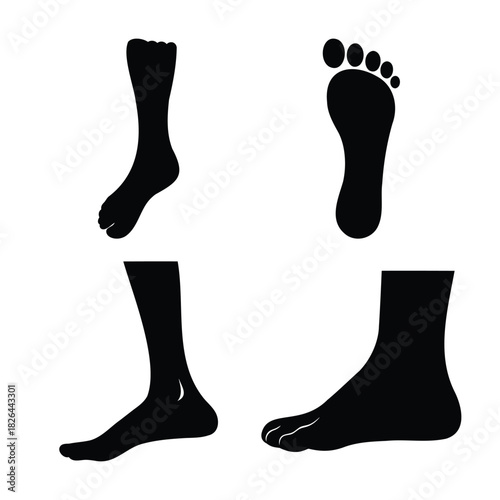Human foot silhouette set with various angles, anatomy