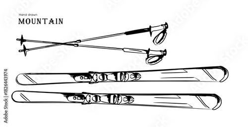 skis and ski poles drawn by hand - vector illustration on a transparent background.