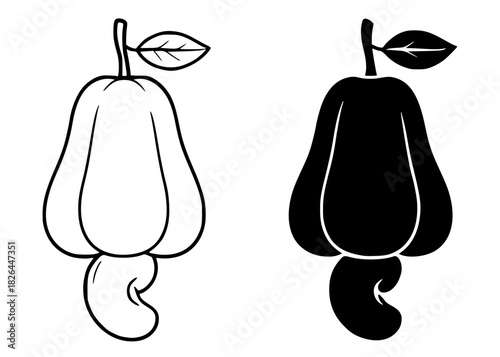 Vector illustration of cashew nut, black and white, outline and silhouette