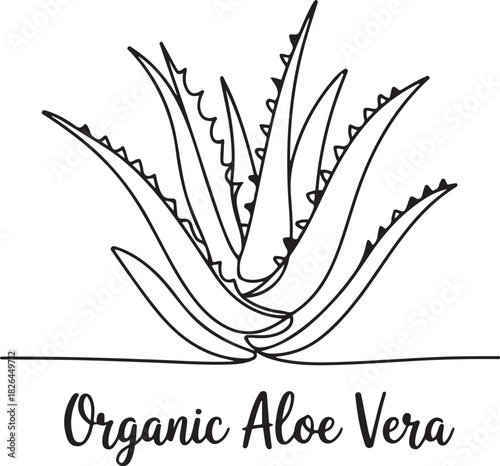 Aloe vera plant sketch, simple vector illustration, background, label design. One continuous line drawing art illustration with lettering organic aloe vera. one line Icon drawing