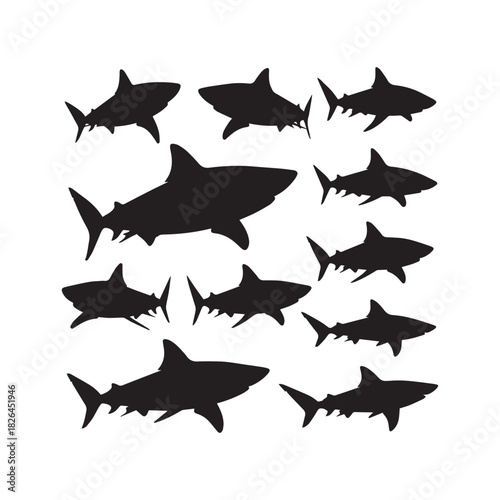 Shark Silhouette Vector Set
