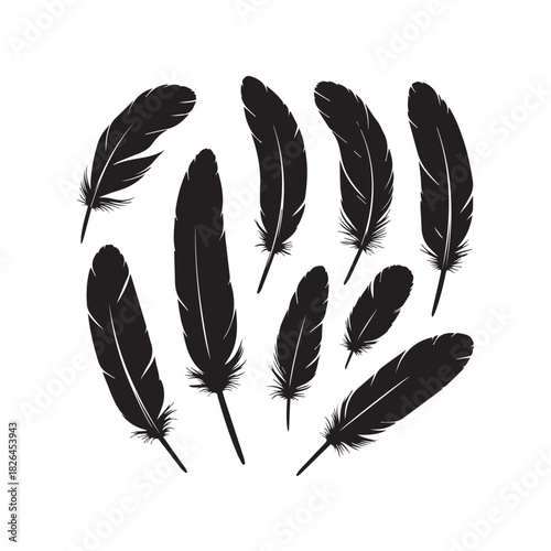 Feather Silhouette Vector Set