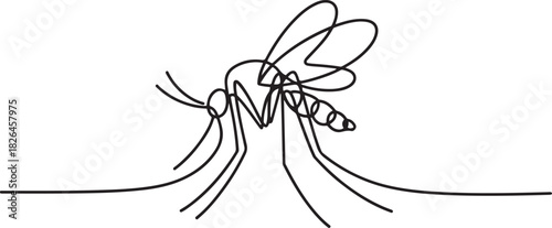 mosquito line art drawing vector, continuous line mosquito. mosquito drawn in one line. minimal vector illustration. one line Icon drawing