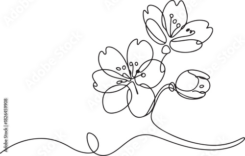 Continuous one line drawing of cherry blossom. Simple flower blossom line art vector illustration, Hand drawn cherry blossom. one line Icon drawing