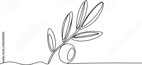 Olive branch. Modern single line art drawing. Continuous line drawing. Outline draw design. one line Icon drawing