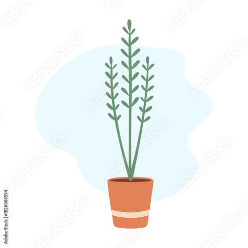 Minimalist home setup highlights slender euphorbia stems creating clean sculptural greenery, euphorbia bringing modern organic vibe, calming decor energy, perfect for trendy contemporary plant styling