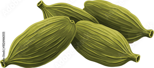 Exotic Green Cardamom Spice Pods, Aromatic Culinary Ingredient, Whole Unopened Cardamom Seeds, Hand-Drawn Vector Illustration, Essential Flavoring for Sweet and Savory Dishes, Natural Fragrant Herb.