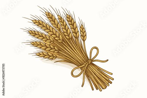 Rustic Wheat Bundle. Rustic bundle of wheat tied with twine, resting on a clean white background, earthy tones, ideal for vector