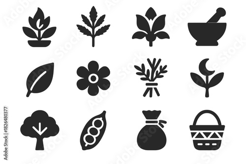 Botanical Anthropology Icons. Solid style icons of Botanical Anthropology: sacred plant, medicinal herb, cultural flora, mortar