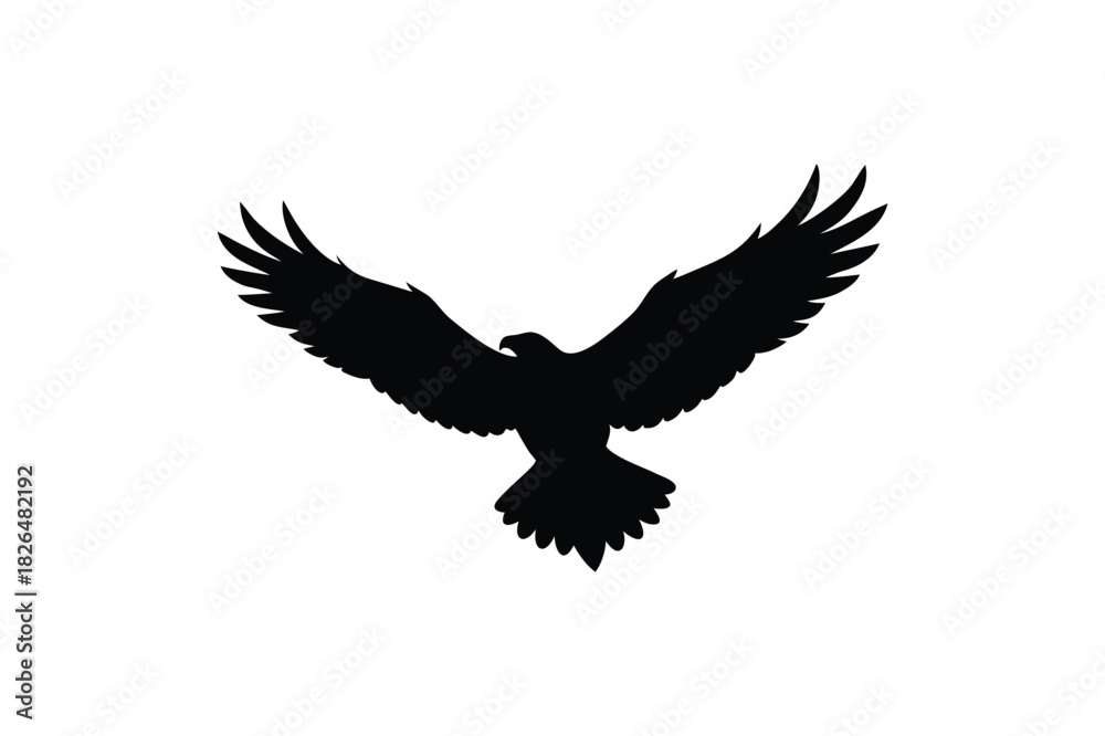 Obraz premium Flying eagle silhouette wings spread detailed outline vector