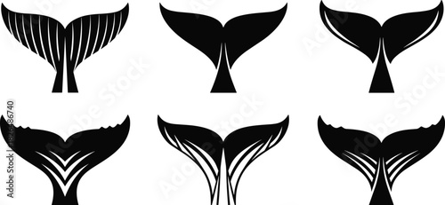 Whale tail vector, black and white illustration, stylized marine design, aquatic silhouette set, decorative sea elements, ocean-themed artwork, fluke variations