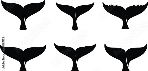 Whale tail vector, black silhouette illustration, marine fluke variations, ocean species design, aquatic icon set, sea life artwork, minimal style