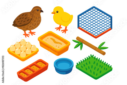 Farm Animal Icons. Isometric vector illustration set Farm animals – quail, chick, aviary netting; egg tray, sand bath, reed perch;