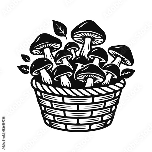 Vector illustration of mushrooms in a wicker basket. Forest mushrooms, wild mushrooms, collection in a basket, natural objects collection, botanical illustration