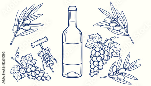 Hand-Drawn Mediterranean Wine & Olive Vector – Vintage Italian Vineyard Doodle with Grapes, Corkscrew, and Olive Branches