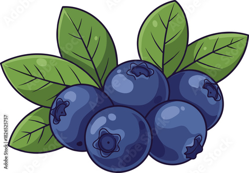 Create a Fresh blueberries with green leaves vector art with white background..
