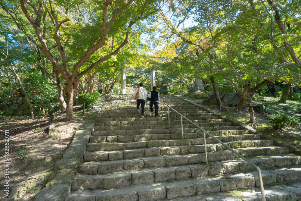 Fototapeta premium Two people ascend wide stone steps under lush green trees toward a shrine gate structure