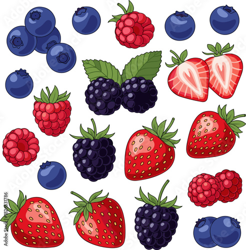 Create a kinds of deferent Berries and strawberries vector art with white background..
