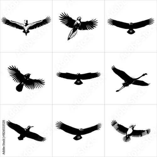 Collection of various bird silhouettes in flight isolated on white background