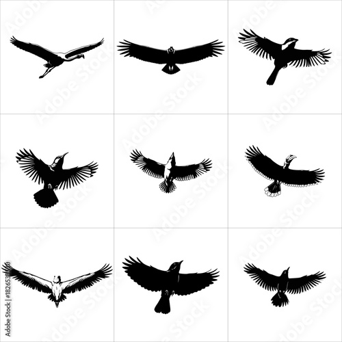 Set of black bird silhouettes in flight isolated on white background