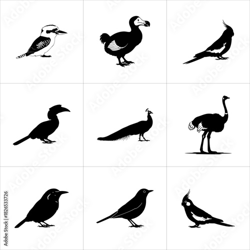 Nine different bird species silhouettes isolated on white background