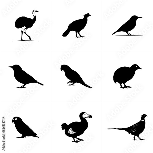 Set of various bird silhouettes in black, isolated on white background